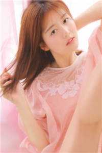 极夜司——极夜司前传小说<