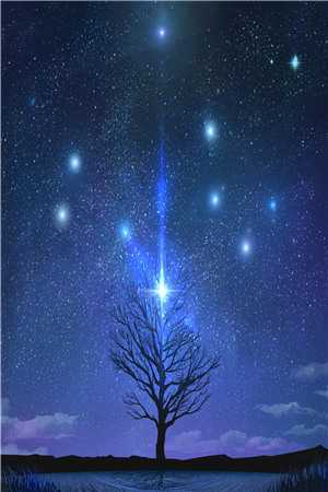 饲鳞志陈默孝布(番外)+(结局)<