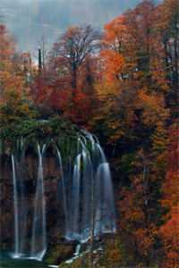 穿越异世之心灵感应番外+无删减版<