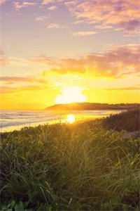 末影追凶林羽陈宏:全文+结局+番外<