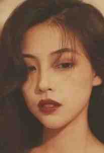 十年代码一朝情长苏瑶刘总:全章+后续<