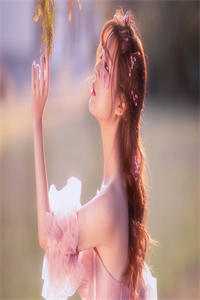 她的世界光华万彩莫悠兰莫建国结局+番外+完结<