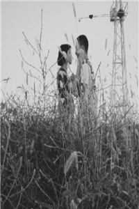 糖与刺猬:前文+后续<