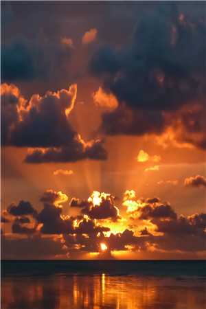 迷雾之下：常青之殇:全文+后续+结局<