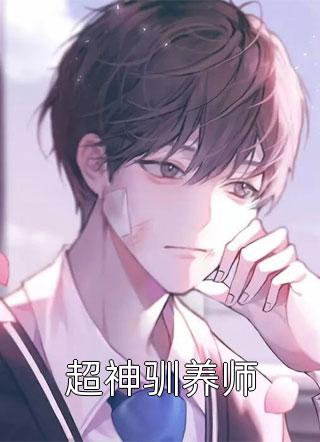 盛夏终章之未完篇前文+番外<