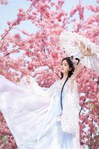 病娇老婆是魅魔:全文+后续+结局<