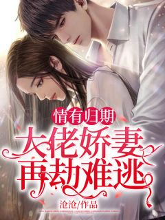 病娇老婆是魅魔:番外+无删减版<