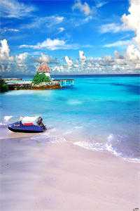 玉镯记之祝你们锁死结局+番外<