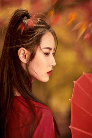 凤凰迷踪无删减全文<