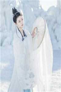 消失的财务总监小说<