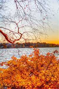 婚外情风波后林淑娟陈建国:(番外)+(结局)<