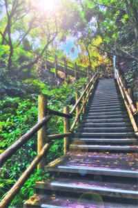 两眼一睁就是复仇，但被全朝封神留璟段留璟:全文+后续+结局<