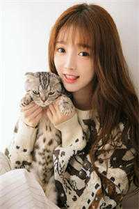 雨幕书影：从孤儿到被偏爱林晚陈叙全集<