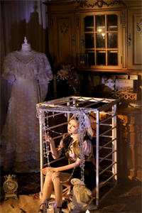 穿花梦蝶深深见宋安银辉全文+番茄<