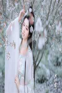 若微雨泪红尘番外+无删减<