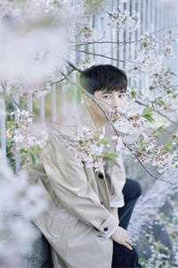 黑红顶流她马甲掉光，全网跪了沈梨棠狗仔(番外)+(全文)<