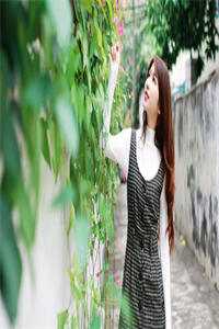 幽宅迷踪莉莉阿杰番外<