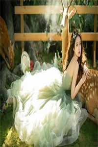 兔子的月亮苏洛迈巴赫全文免费<