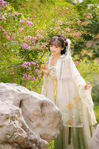 情花蛊：夫人她拒嫁世子后续+完结