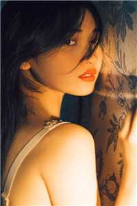 蝶影谜案阿福苏枕书:全章+后续<