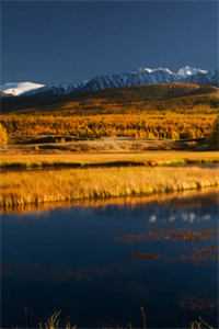 不能生育的老公有了孩子？前文+后续<