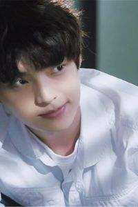 折鸢再无起微澜全文+番茄<