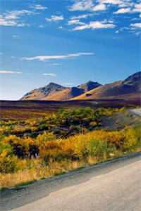 青梅不怕天降，因为她懂茶赵香宁秦愿<