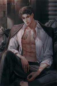 星落燃痕全文+后续<