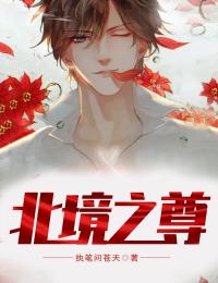 永夜重启陆沉舟小眠结局+番外<