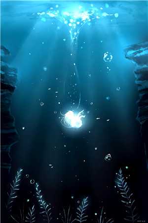 总裁他在线求名分林晚沈知砚:全文+后续+结局<