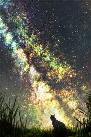 哑妻的八音盒林悦江宇全文+后续+结局<