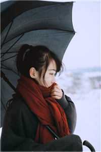 北境道途前文+番外<