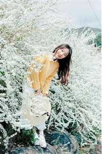 靠碰瓷拯救世界全文+后续<