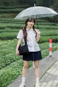 假婚成真：疯批总裁就想骗我生崽秦以歌商晟前文+后续
