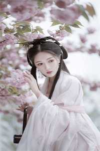 休了将军后，我转身嫁他死对头全本+番外+后续<