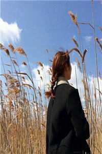 你的未来，与我无关宋言心乔琛:(番外)+(结局)<