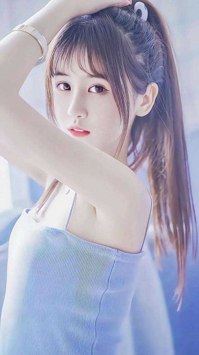苏府的侍女仆从全集小说