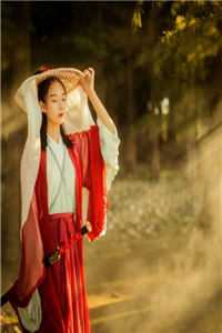 在线阅读闪婚后，顾少他宠上瘾了