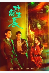 江老爷子亲自订下的畅销巨作