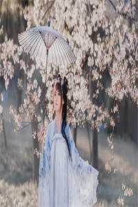 小说全集盛宠毒女