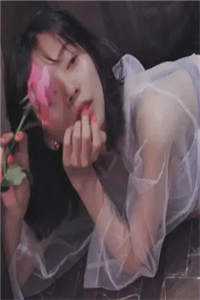 惊！小编辑拿下了女总裁全章节阅读