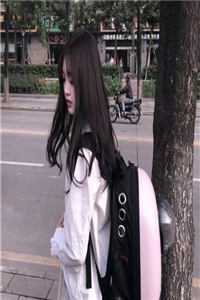 全集小说学院系统：我的修仙学生遍天下