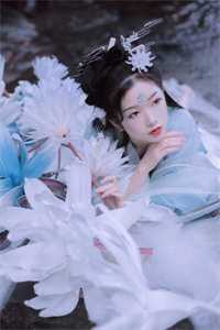 大佬求娶：女炮灰才是宝藏女孩精彩小说