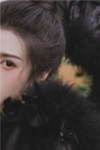 畅读全文版江湖儿女