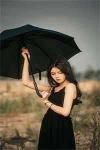 新婚错爱，疯批总裁逼我离婚全文章节