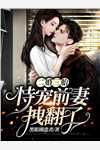 宏图美人志全文浏览
