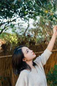 全本小说阅读嫡女倾城，傲娇世子总想入赘侯门