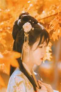重生七零：知青在北大荒全集阅读