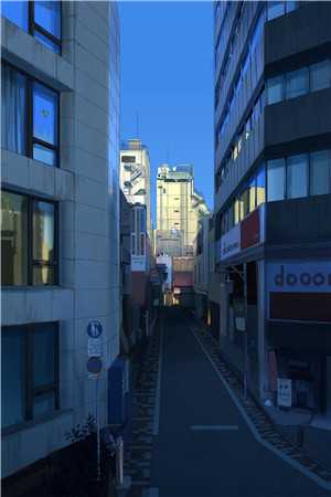 畅销书目都市：我每周一个新身份