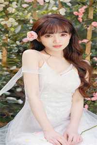 热门小说权道游龙